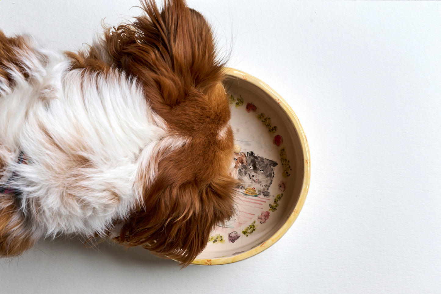 Dog bowl